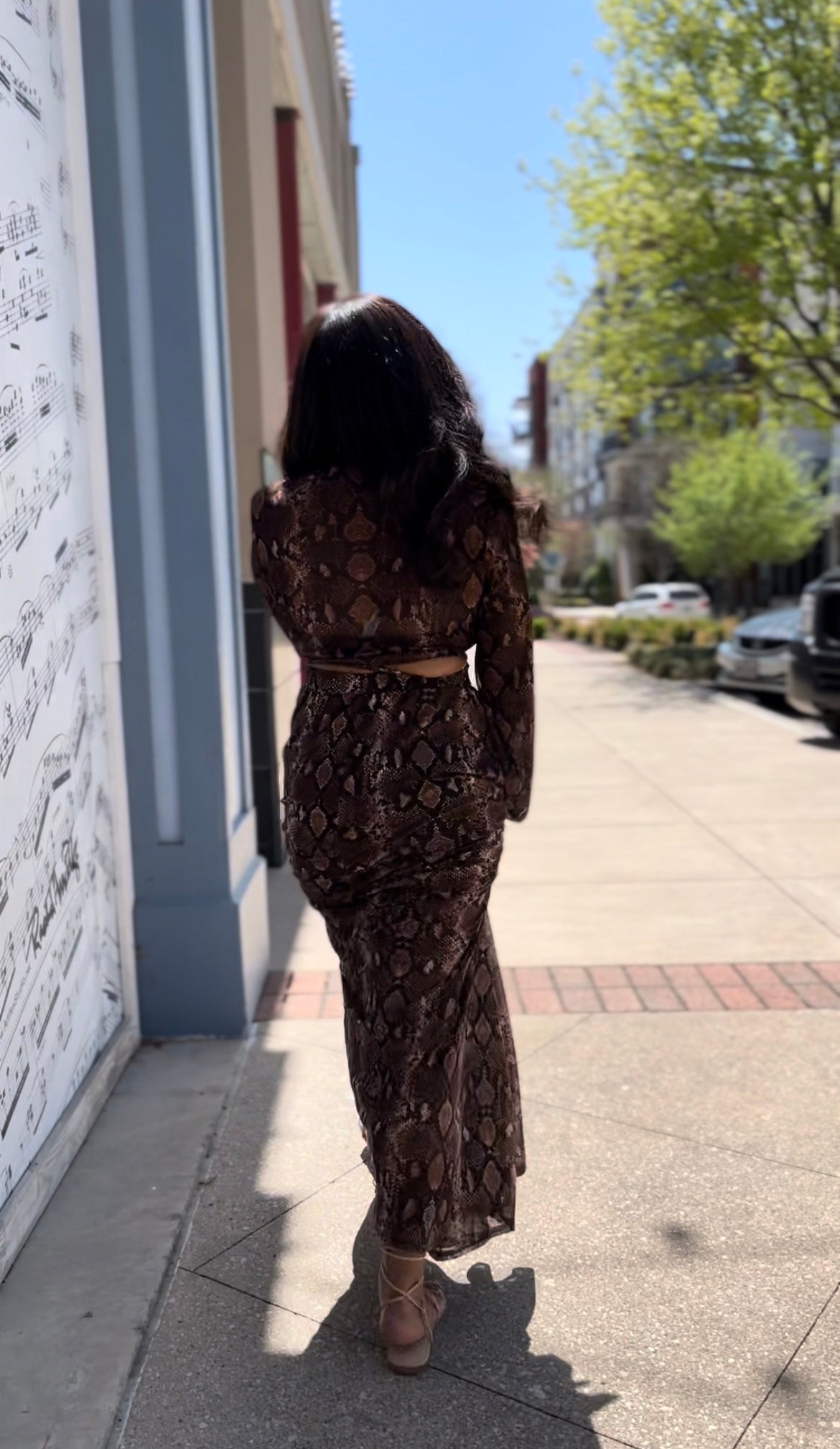 Pick Up Your Feelings | Snakeskin Maxi Skirt Set